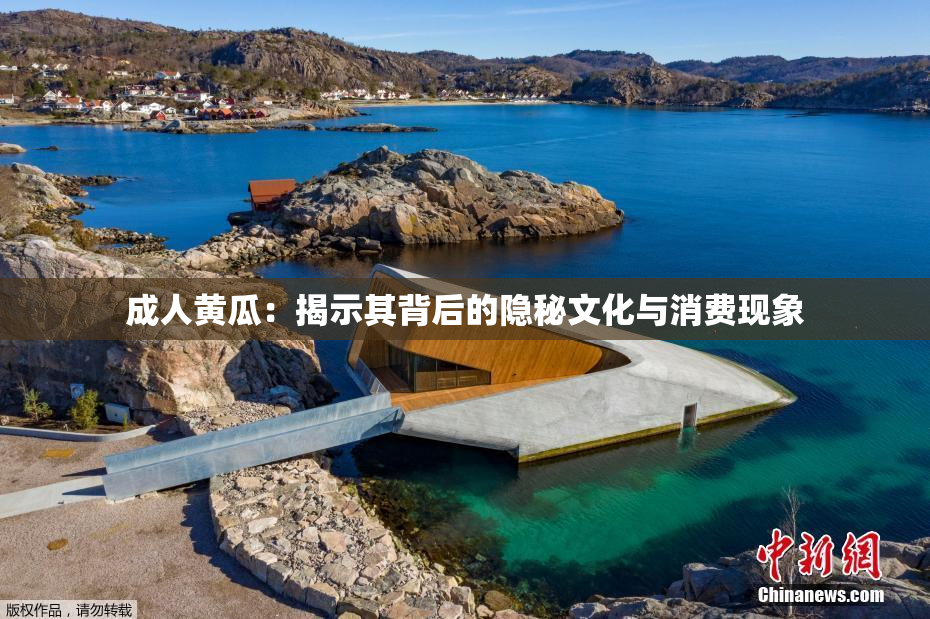 成人黄瓜：揭示其背后的隐秘文化与消费现象