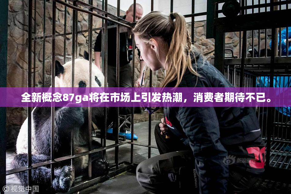 全新概念87ga将在市场上引发热潮，消费者期待不已。
