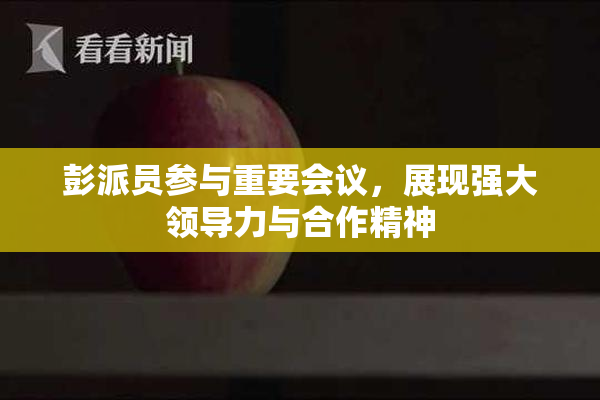 彭派员参与重要会议，展现强大领导力与合作精神