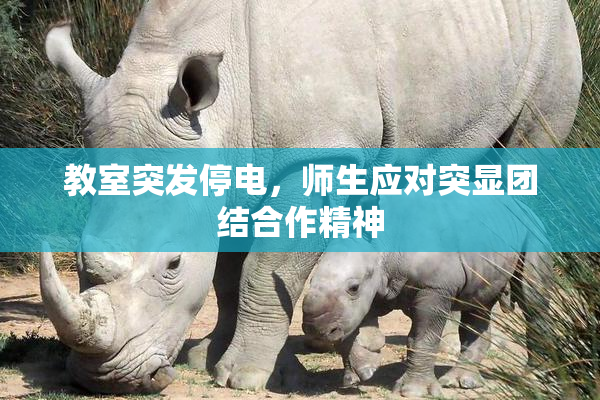 教室突发停电，师生应对突显团结合作精神