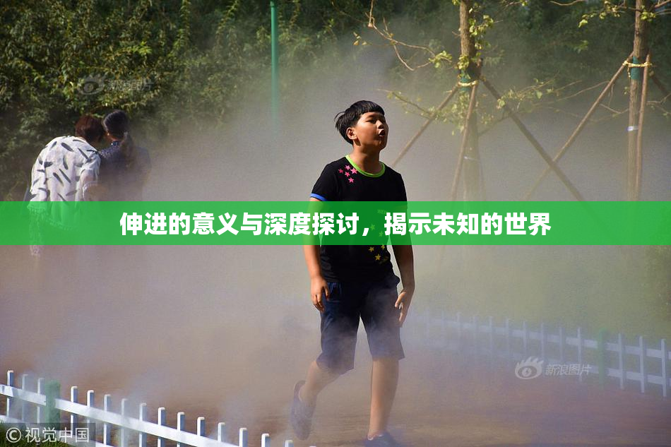 伸进的意义与深度探讨，揭示未知的世界