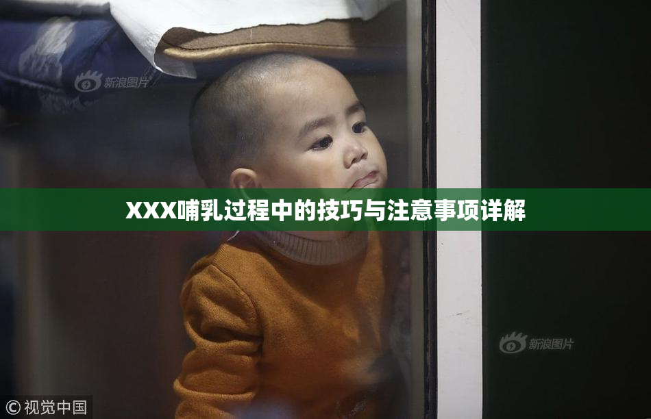 XXX哺乳过程中的技巧与注意事项详解
