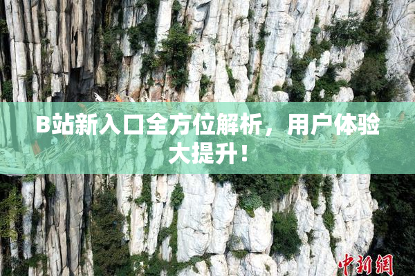 B站新入口全方位解析，用户体验大提升！