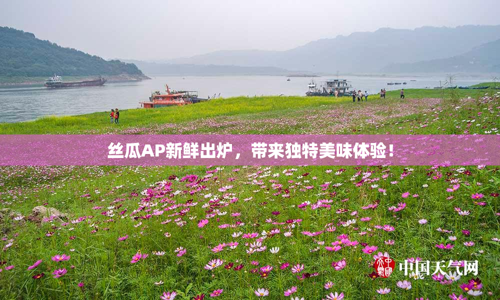 丝瓜AP新鲜出炉，带来独特美味体验！