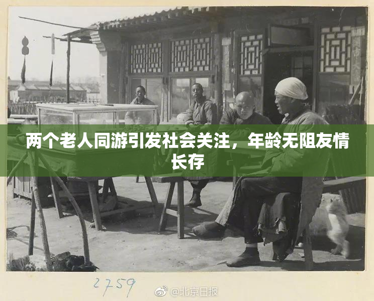 两个老人同游引发社会关注，年龄无阻友情长存