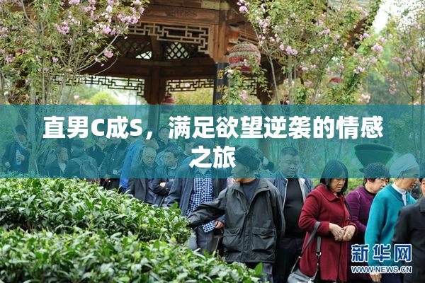 直男C成S，满足欲望逆袭的情感之旅