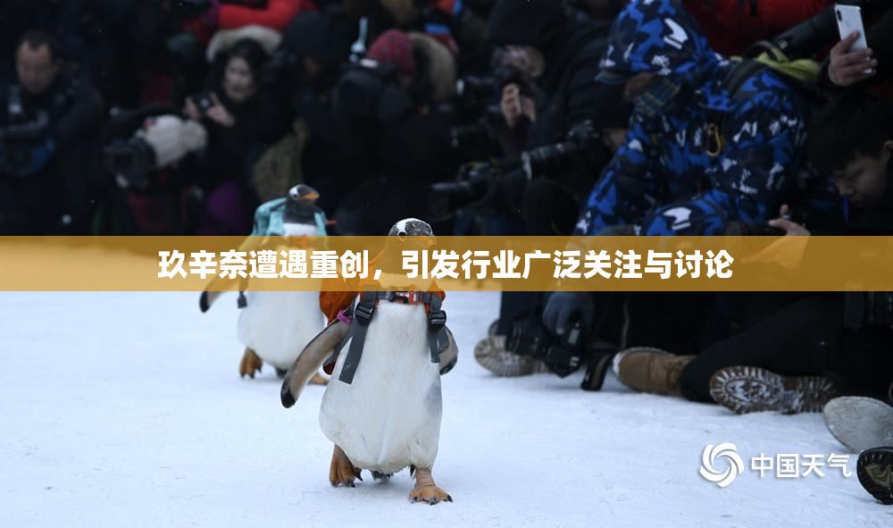 玖辛奈遭遇重创，引发行业广泛关注与讨论