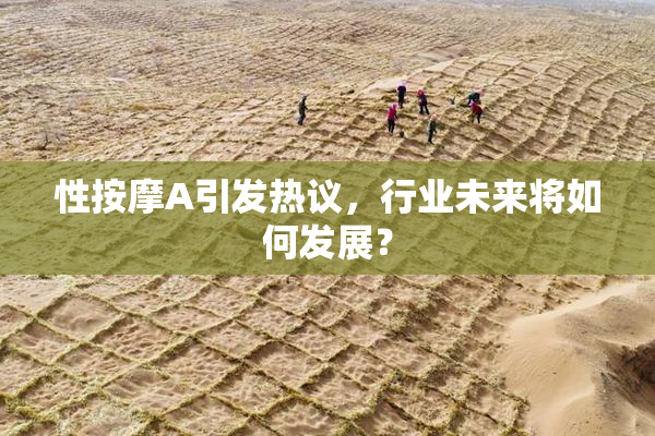 性按摩A引发热议，行业未来将如何发展？