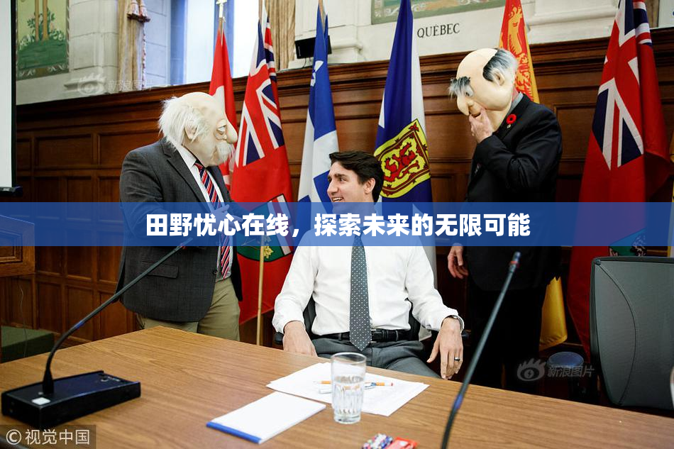 田野忧心在线，探索未来的无限可能