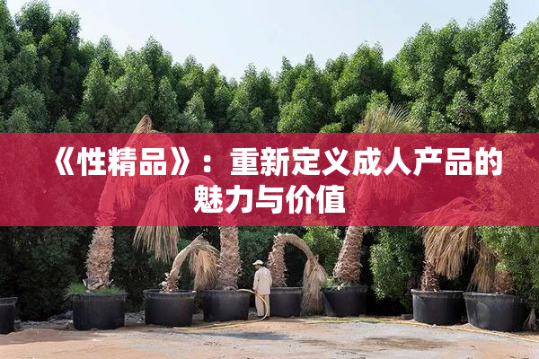 《性精品》：重新定义成人产品的魅力与价值