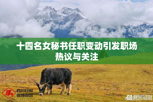 十四名女秘书任职变动引发职场热议与关注