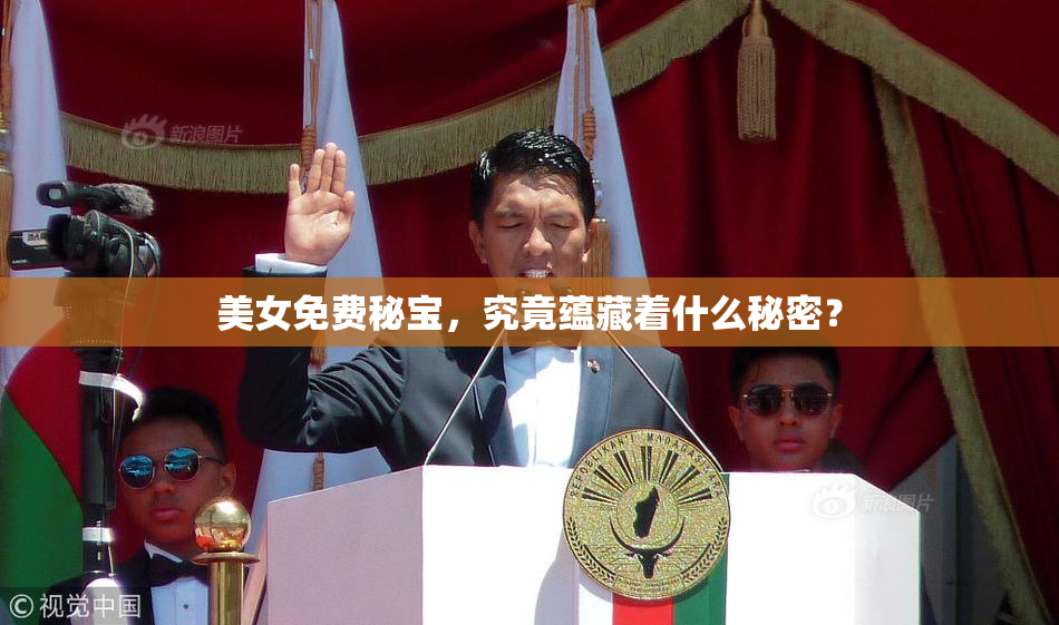 美女免费秘宝，究竟蕴藏着什么秘密？