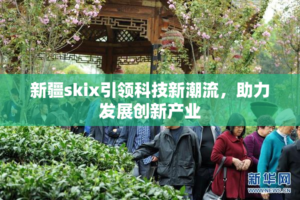 新疆skix引领科技新潮流，助力发展创新产业