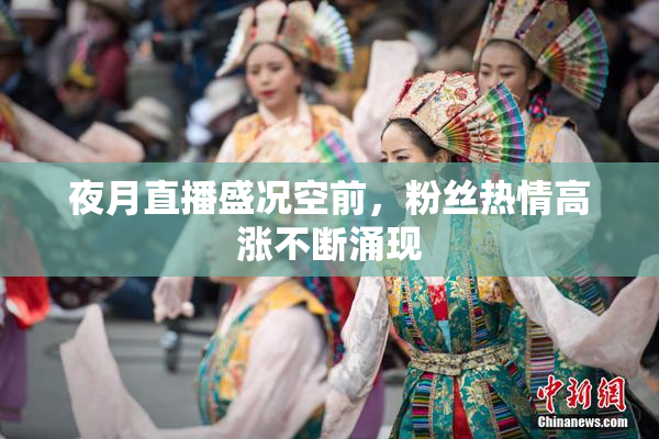夜月直播盛况空前，粉丝热情高涨不断涌现
