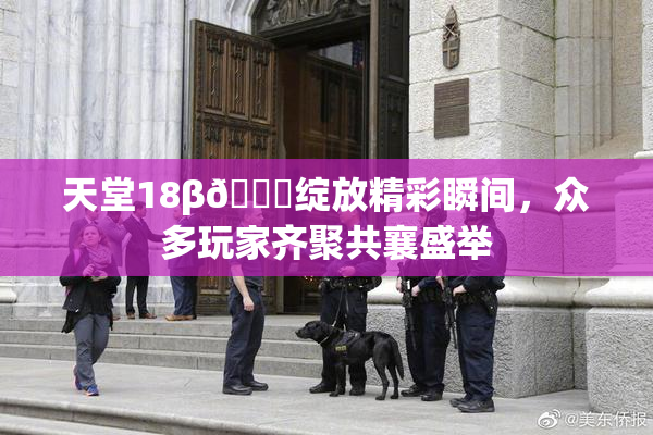 天堂18β🍆绽放精彩瞬间，众多玩家齐聚共襄盛举