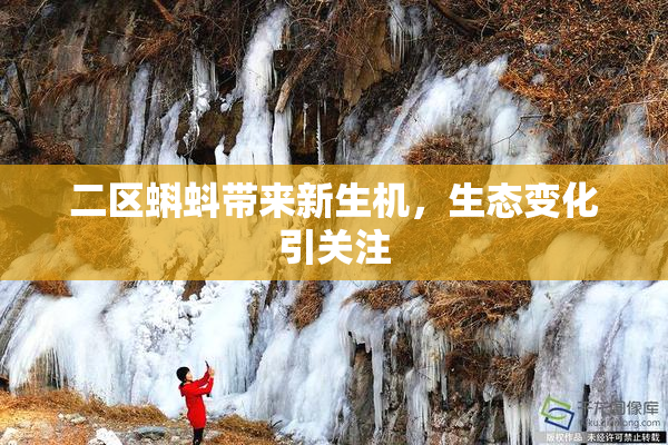 二区蝌蚪带来新生机，生态变化引关注
