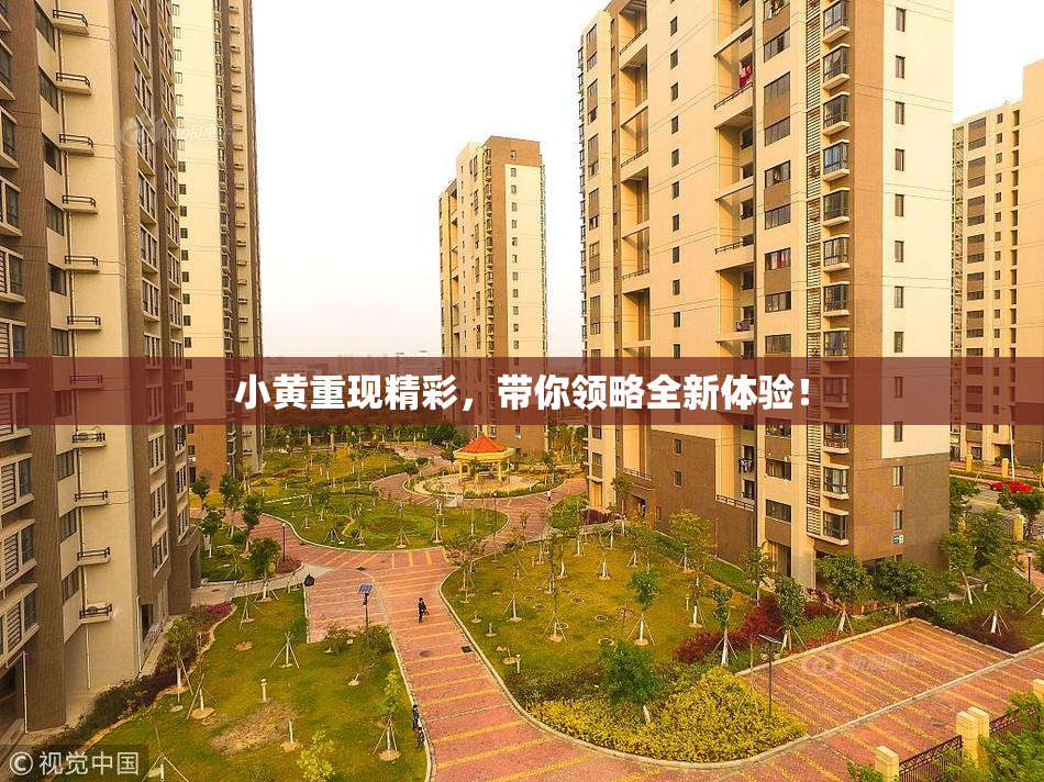 小黄重现精彩，带你领略全新体验！