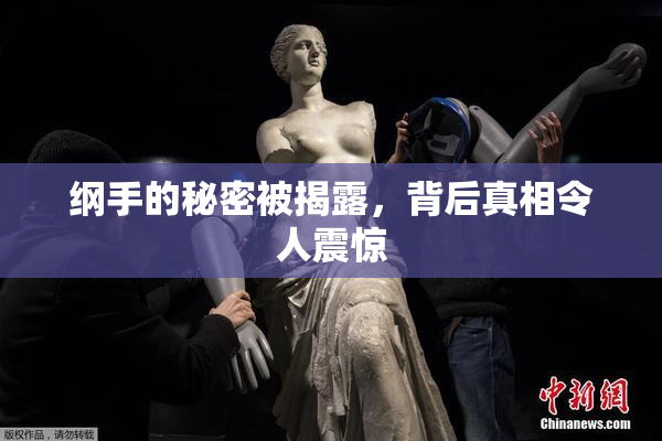 纲手的秘密被揭露，背后真相令人震惊