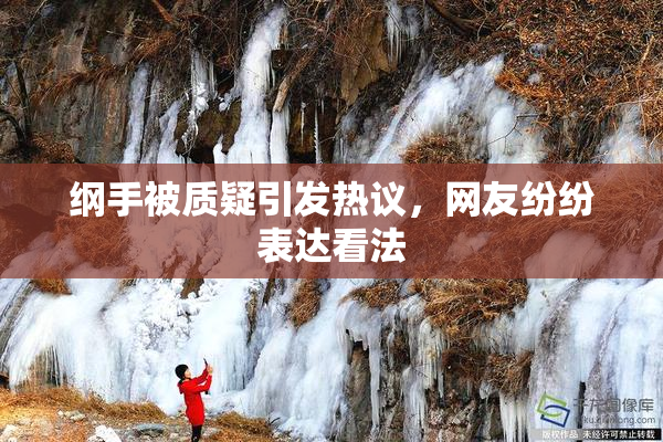 纲手被质疑引发热议，网友纷纷表达看法