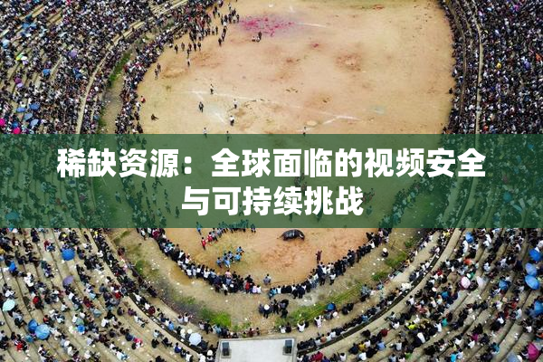 稀缺资源：全球面临的视频安全与可持续挑战