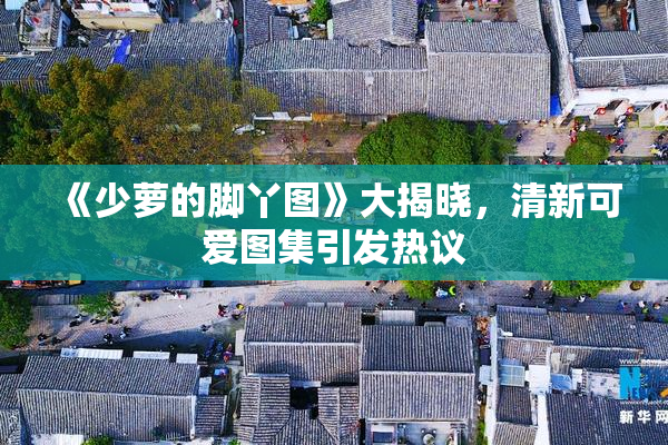 《少萝的脚丫图》大揭晓，清新可爱图集引发热议