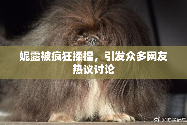 妮露被疯狂揉捏，引发众多网友热议讨论