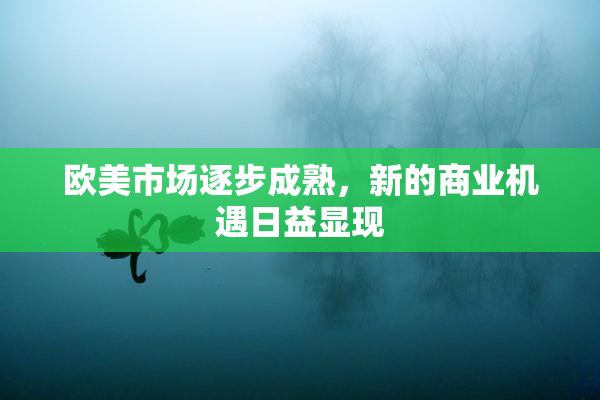 欧美市场逐步成熟，新的商业机遇日益显现