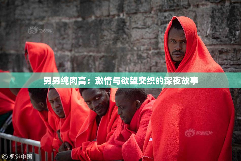 男男纯肉高：激情与欲望交织的深夜故事