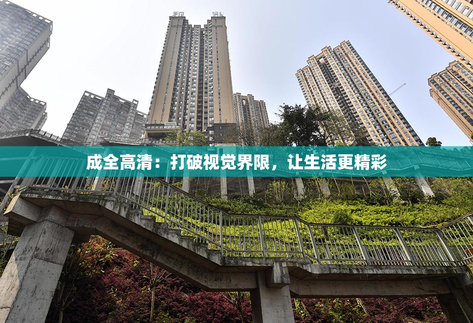 成全高清：打破视觉界限，让生活更精彩