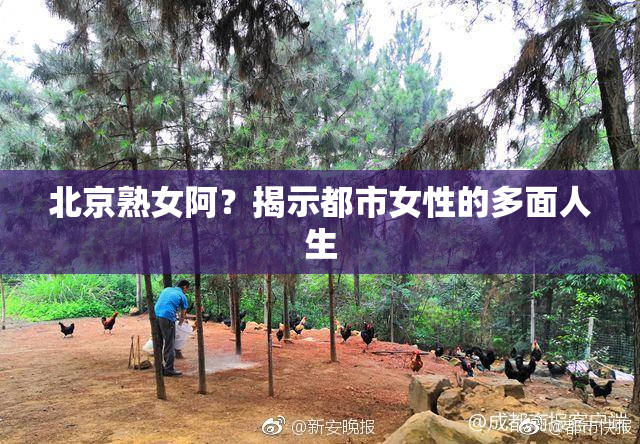 北京熟女阿？揭示都市女性的多面人生