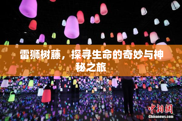 雷狮树藤，探寻生命的奇妙与神秘之旅