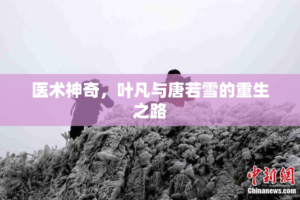 医术神奇，叶凡与唐若雪的重生之路