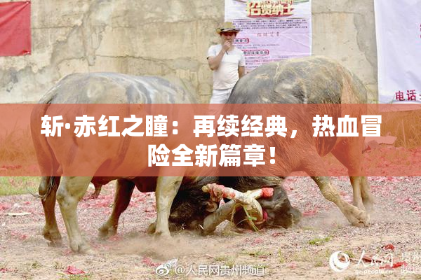斩·赤红之瞳：再续经典，热血冒险全新篇章！