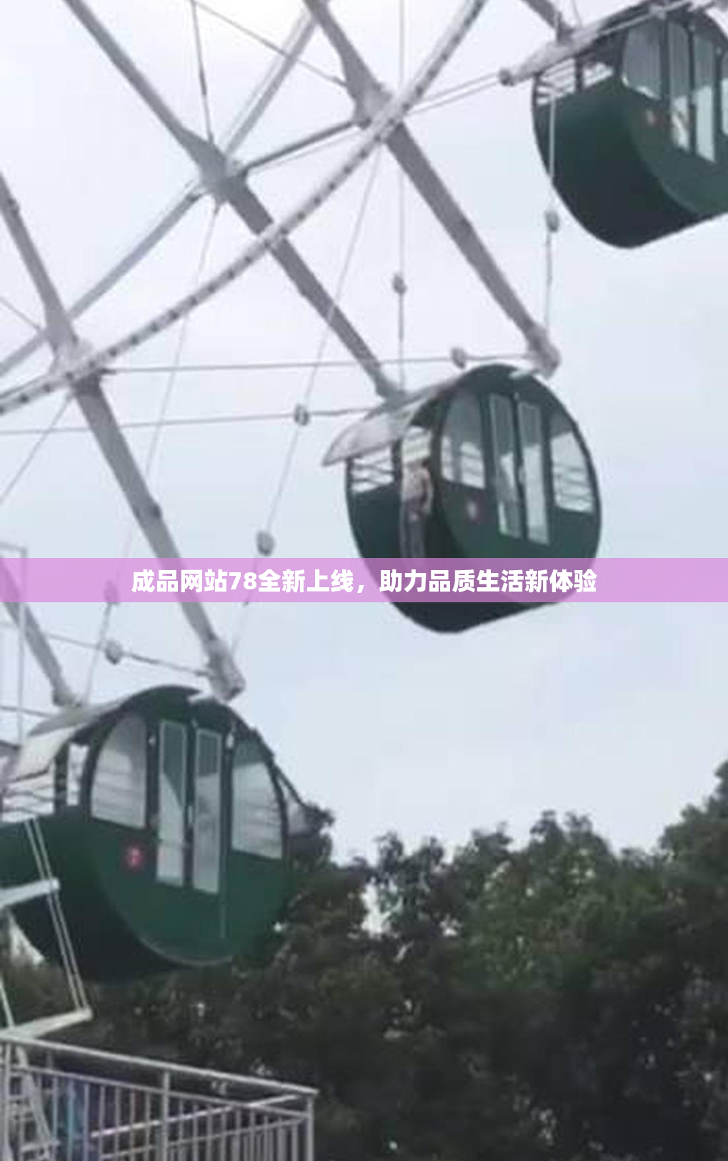 成品网站78全新上线，助力品质生活新体验