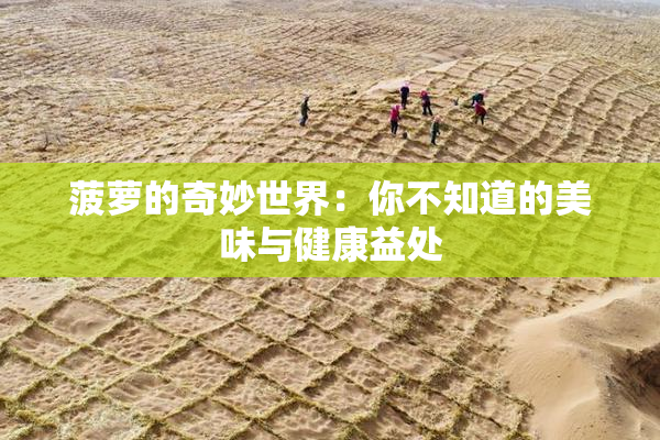 菠萝的奇妙世界：你不知道的美味与健康益处