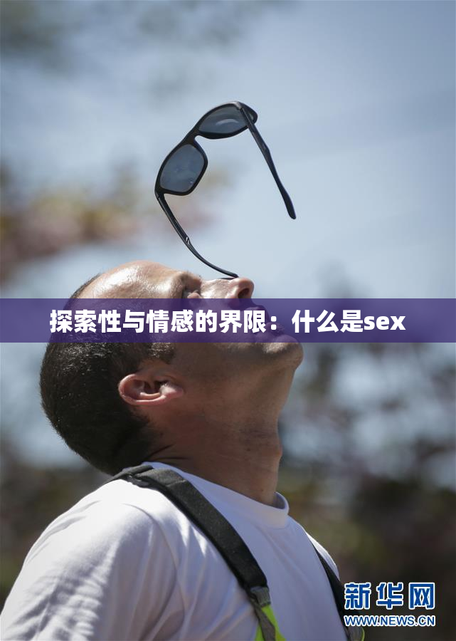 探索性与情感的界限：什么是sex