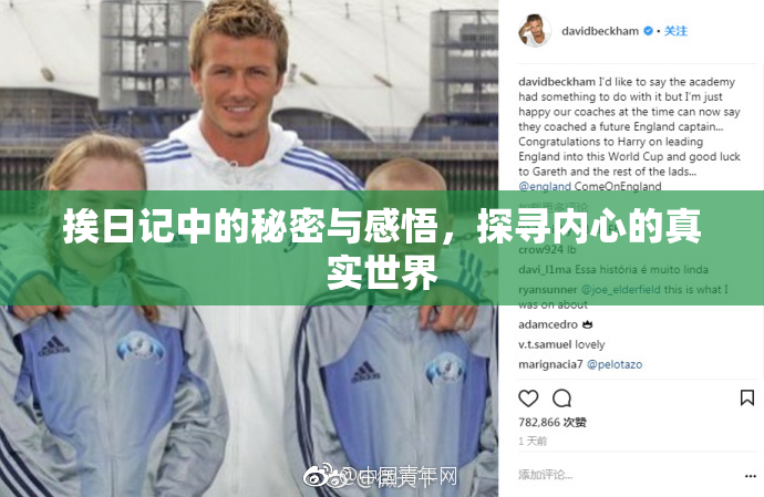 挨日记中的秘密与感悟，探寻内心的真实世界