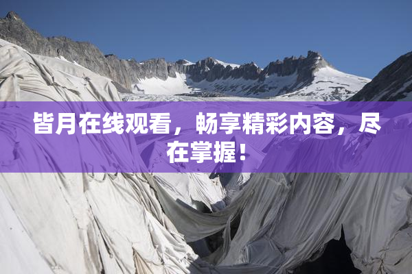 皆月在线观看，畅享精彩内容，尽在掌握！