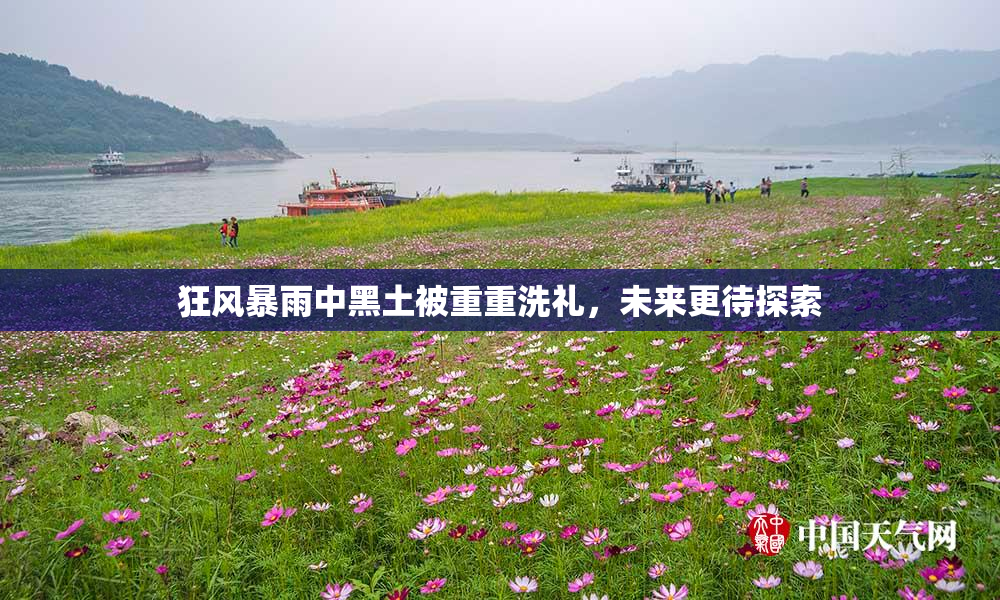狂风暴雨中黑土被重重洗礼，未来更待探索