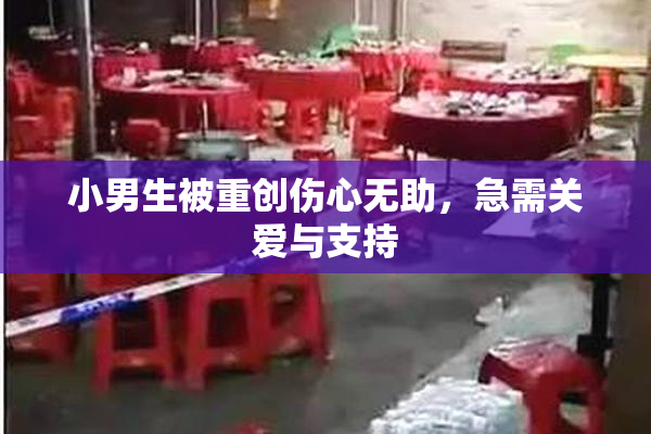 小男生被重创伤心无助，急需关爱与支持