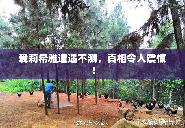 爱莉希雅遭遇不测，真相令人震惊！