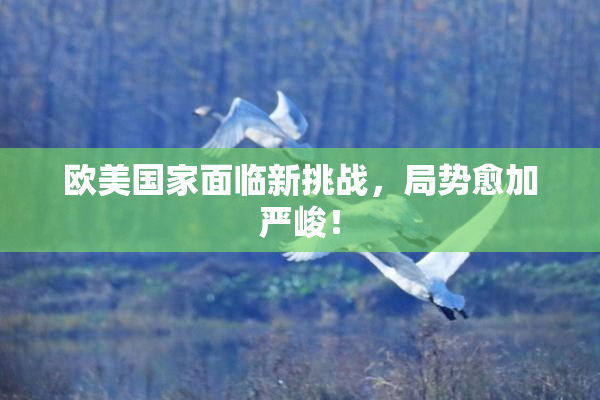 欧美国家面临新挑战，局势愈加严峻！