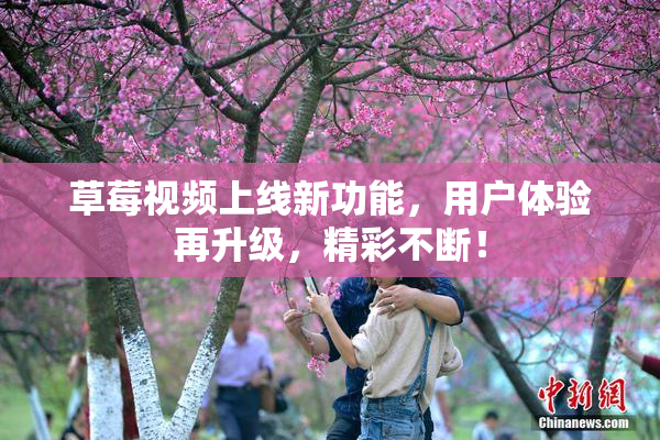 草莓视频上线新功能，用户体验再升级，精彩不断！