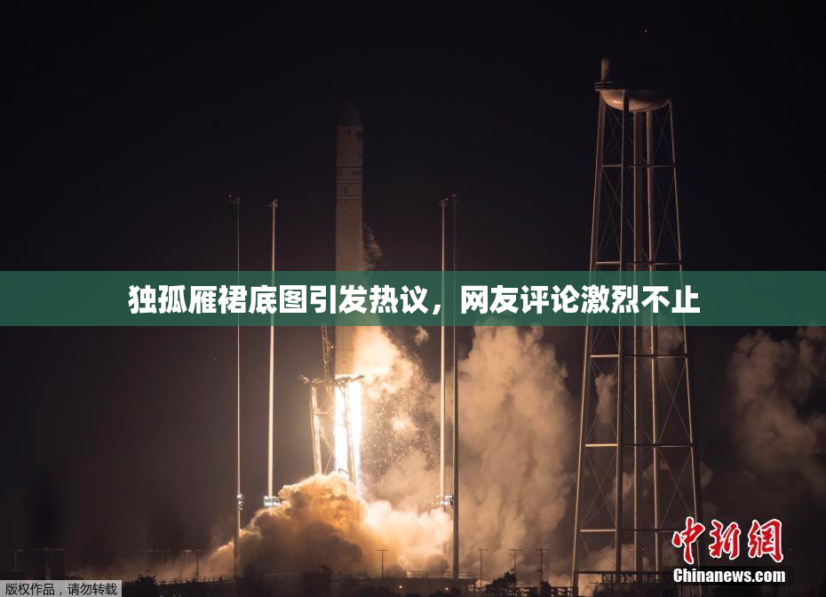 独孤雁裙底图引发热议，网友评论激烈不止