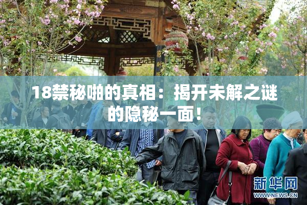 18禁秘啪的真相：揭开未解之谜的隐秘一面！