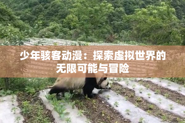 少年骇客动漫：探索虚拟世界的无限可能与冒险