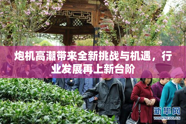 炮机高潮带来全新挑战与机遇，行业发展再上新台阶