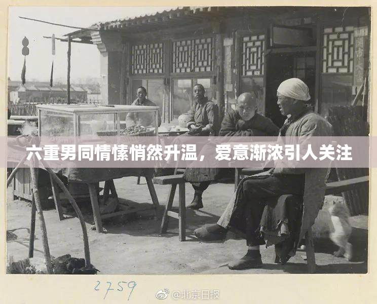 六重男同情愫悄然升温，爱意渐浓引人关注