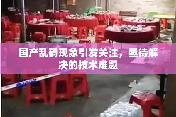 国产乱码现象引发关注，亟待解决的技术难题