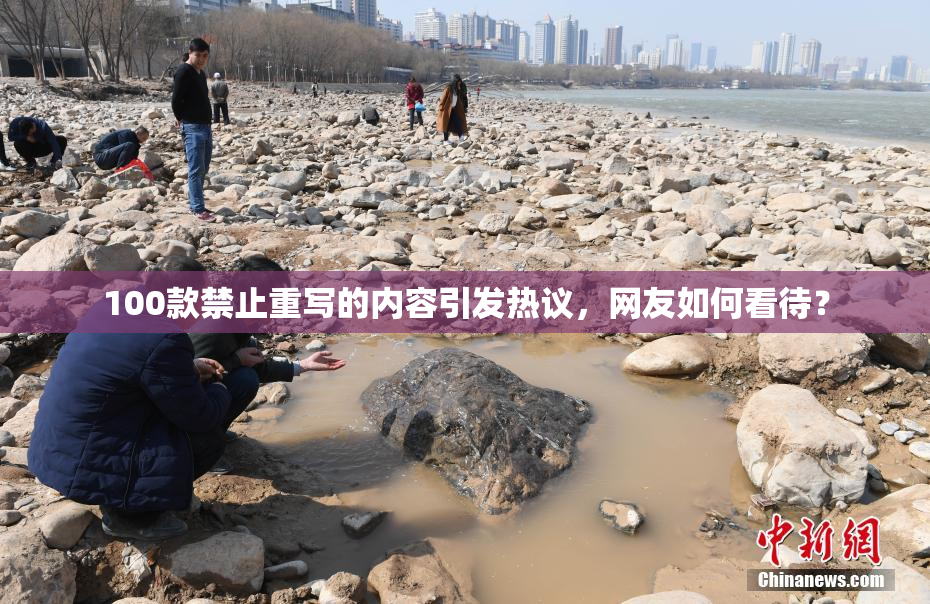 100款禁止重写的内容引发热议，网友如何看待？